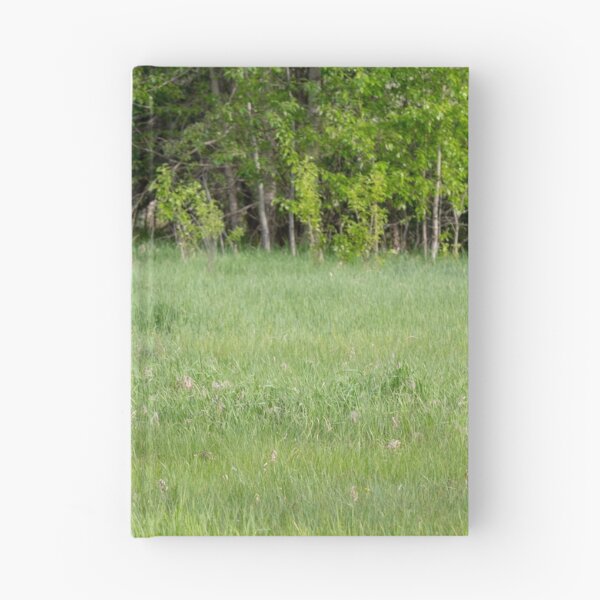 Item preview, Deer in a Field 2 designed and sold by Don Arsenault.