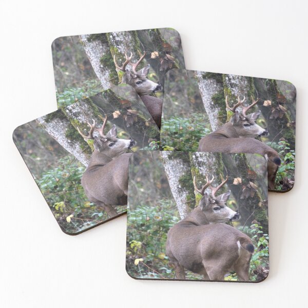 Item preview, Blacktail buck... designed and sold by RichImage.