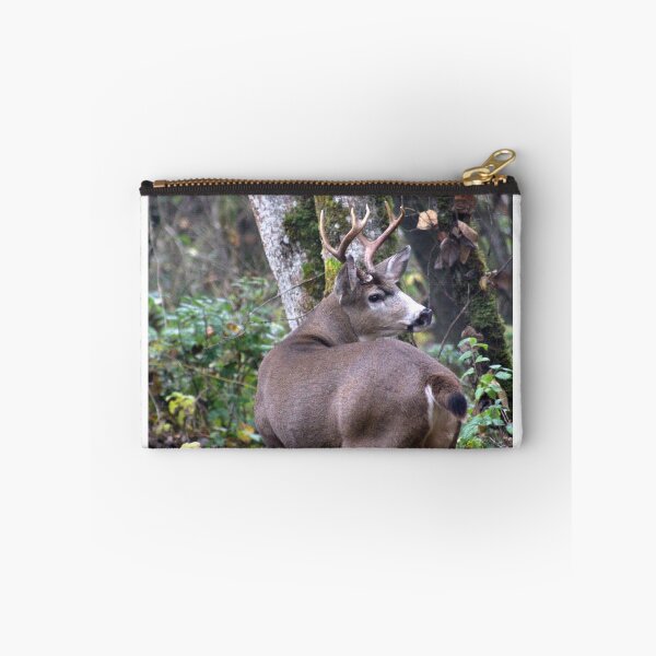 Item preview, Blacktail buck... designed and sold by RichImage.