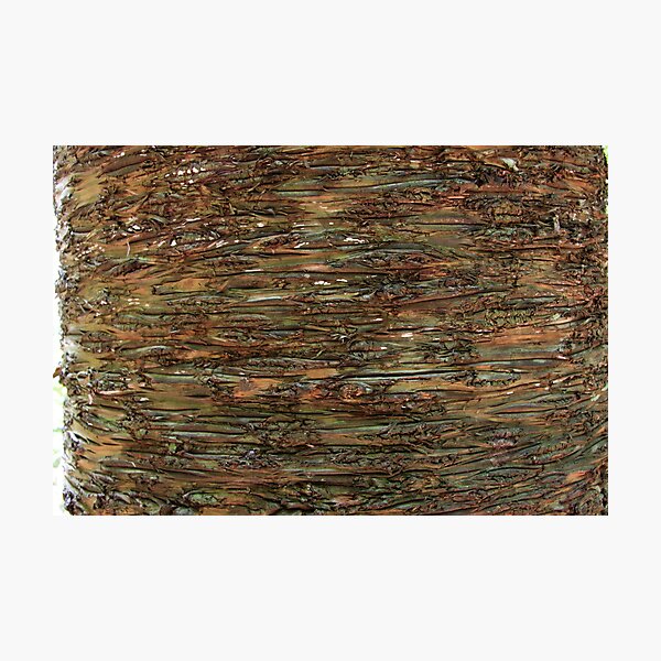 Item preview, Nature's wrapper: bark. designed and sold by SunnieGal.