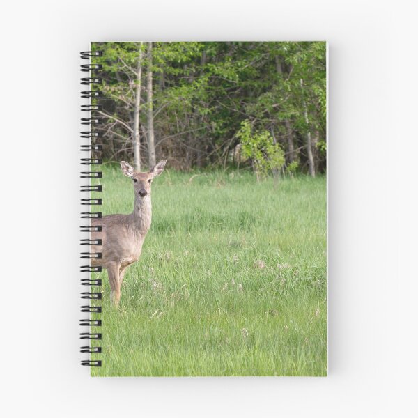 Item preview, Deer in a Field 2 designed and sold by Don Arsenault.