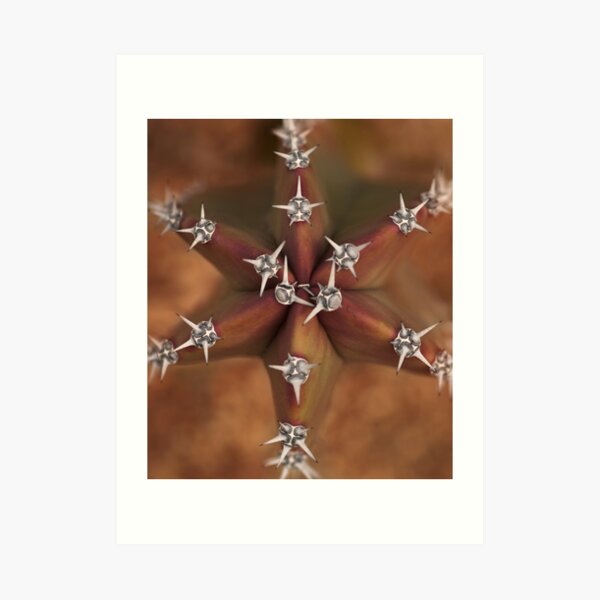 Jeweled Star Art Print