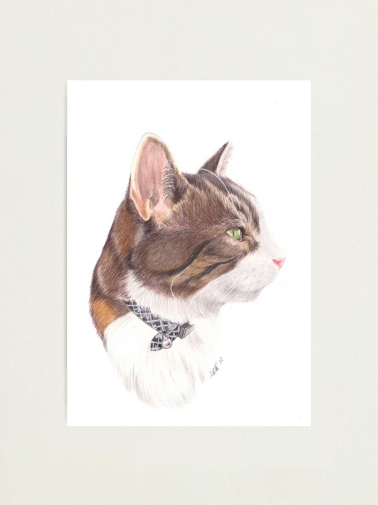 Impression Photo Dessin Au Crayon De Couleur Brun Chat Raye Par Kathrynroseart Redbubble