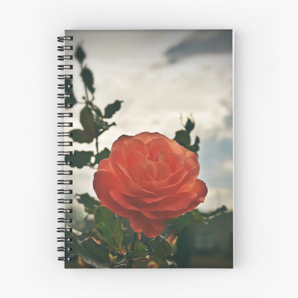 Item preview, Pristine designed and sold by Melanie Uadjit.