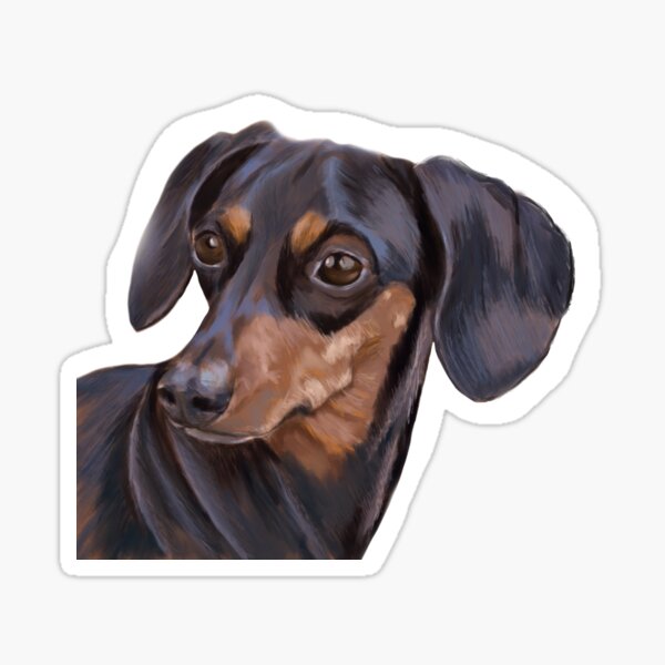 Item preview, Sausage dog, daschund, wiener dog painting designed and sold by kathrynroseart.