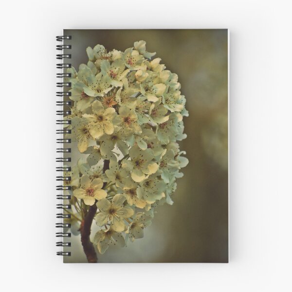 Item preview, Printemps designed and sold by Melanie Uadjit.