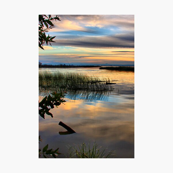 Artikelvorschau, Wetland Sunset entworfen und verkauft von Barbara Brown.