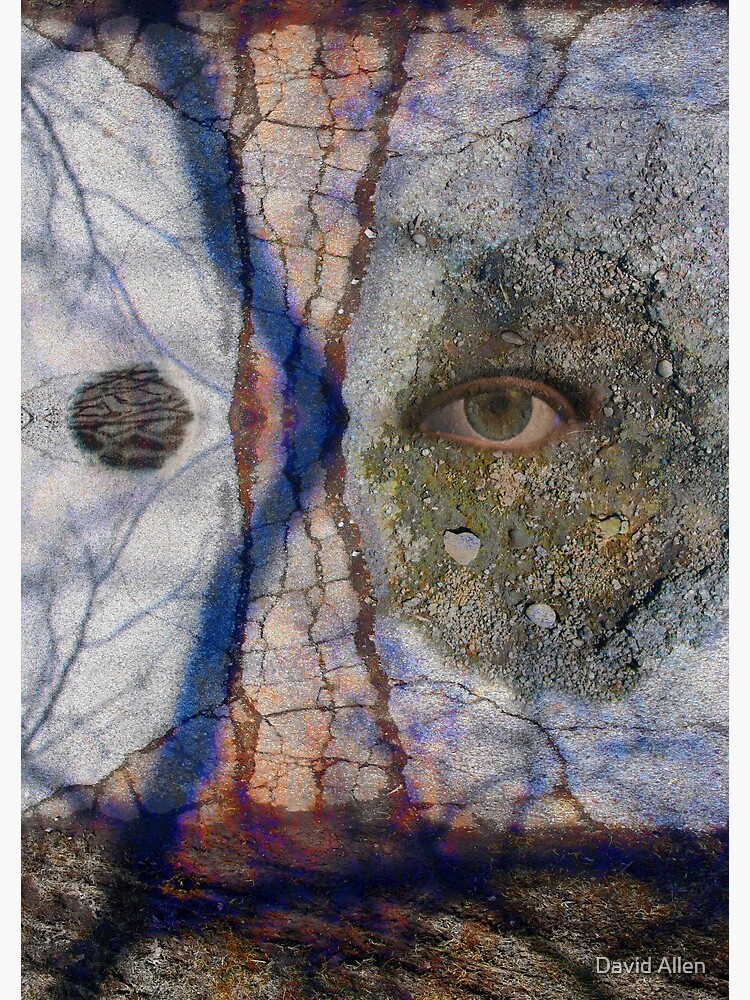 Emotional Disfiguration by Delphin1