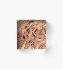Personification Acrylic Block