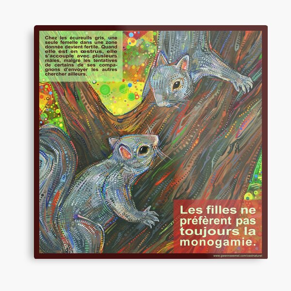 Se Comporter comme une Dame (L'Écureuil Gris) Metal Print