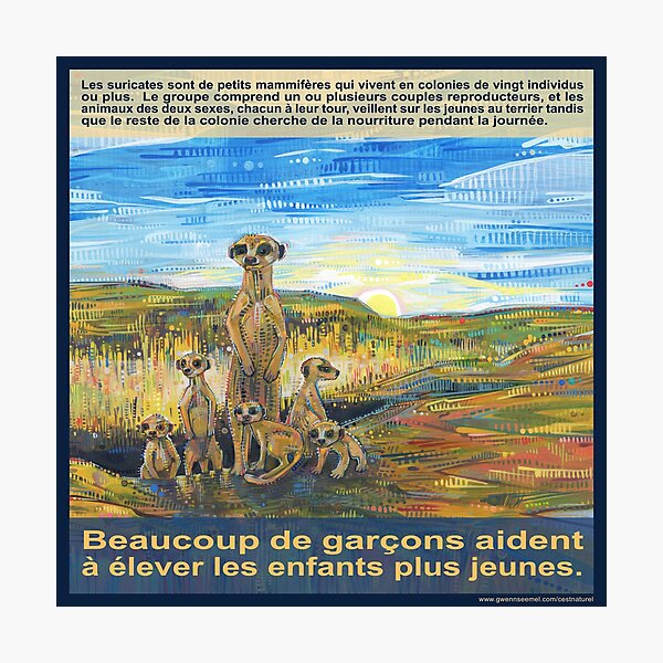 Une Entreprise Familiale (Le Suricate) Photographic Print