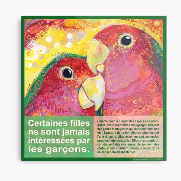 Polly Veut une Polly (L'Inséparable Rosegorge) Metal Print