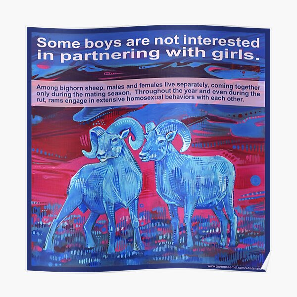 Ram Tough (Bighorn Sheep) Poster