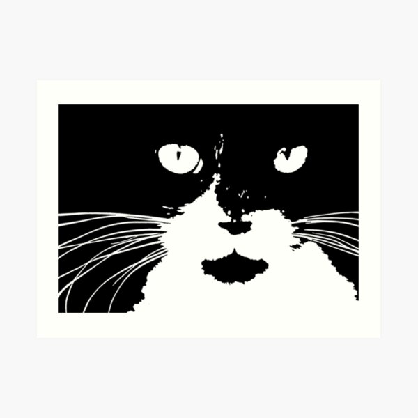 "Cat Print/My Patch" Abstract Graphic Black and White Feline Face - Jenny Meehan Art Print