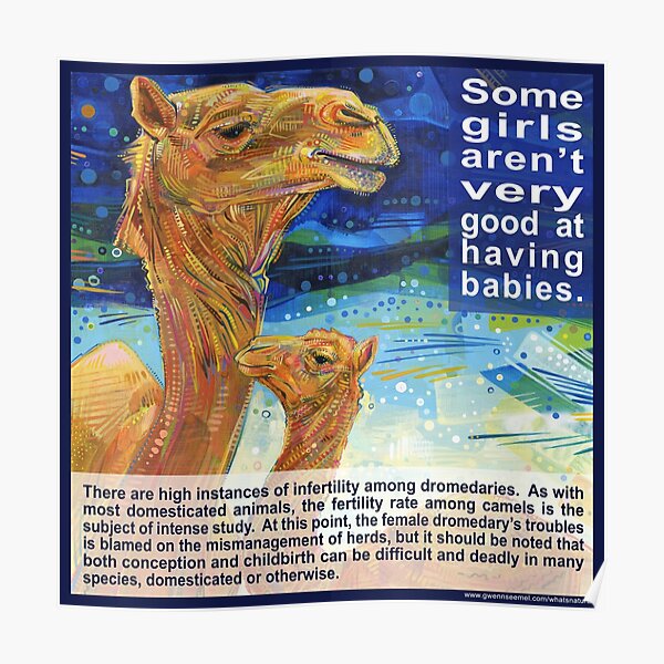 It Is Easier for a Camel to Pass Through the Eye of a Needle than for