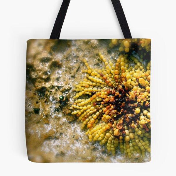 Item preview, Ocean Art designed and sold by Janesiddell.