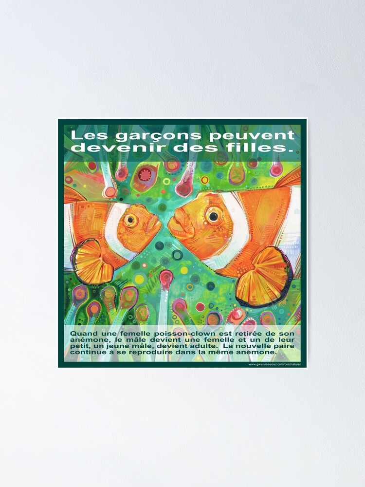 Ce Qui S Est Passe Quand La Mere De Nemo Est Morte Le Poisson Clown Poster By Gwennpaints Redbubble