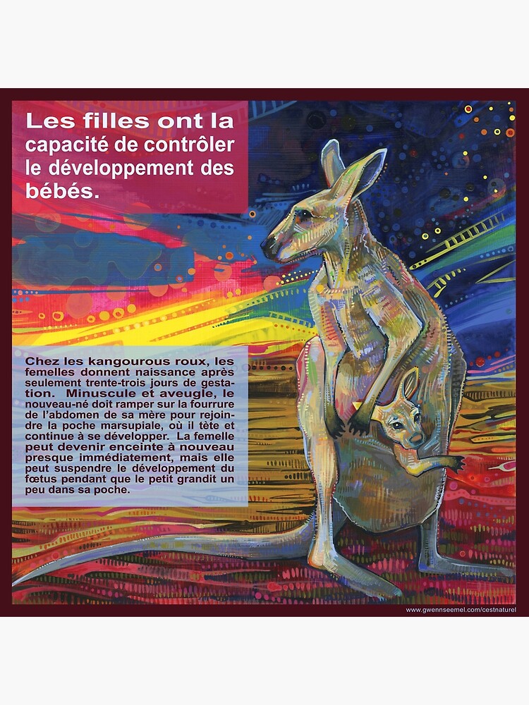 Le Choix Le Kangourou Roux Art Board Print By Gwennpaints Redbubble