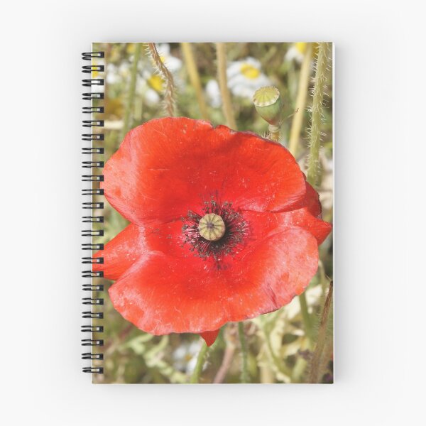 Artikelvorschau, Wilde Mohnblume entworfen und verkauft von KCiPhoto.