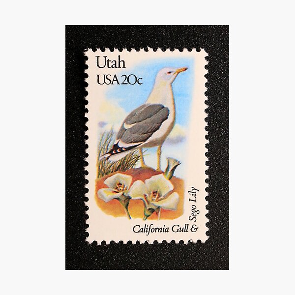Item preview, 1982 20c Utah State Bird & Flower Postage Stamp designed and sold by Chris Coates Photography.com.