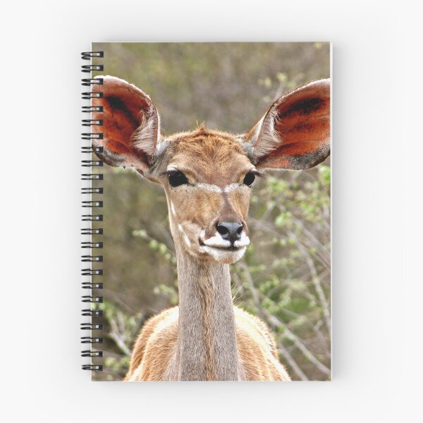 Item preview, Kudu  designed and sold by EthaArch.