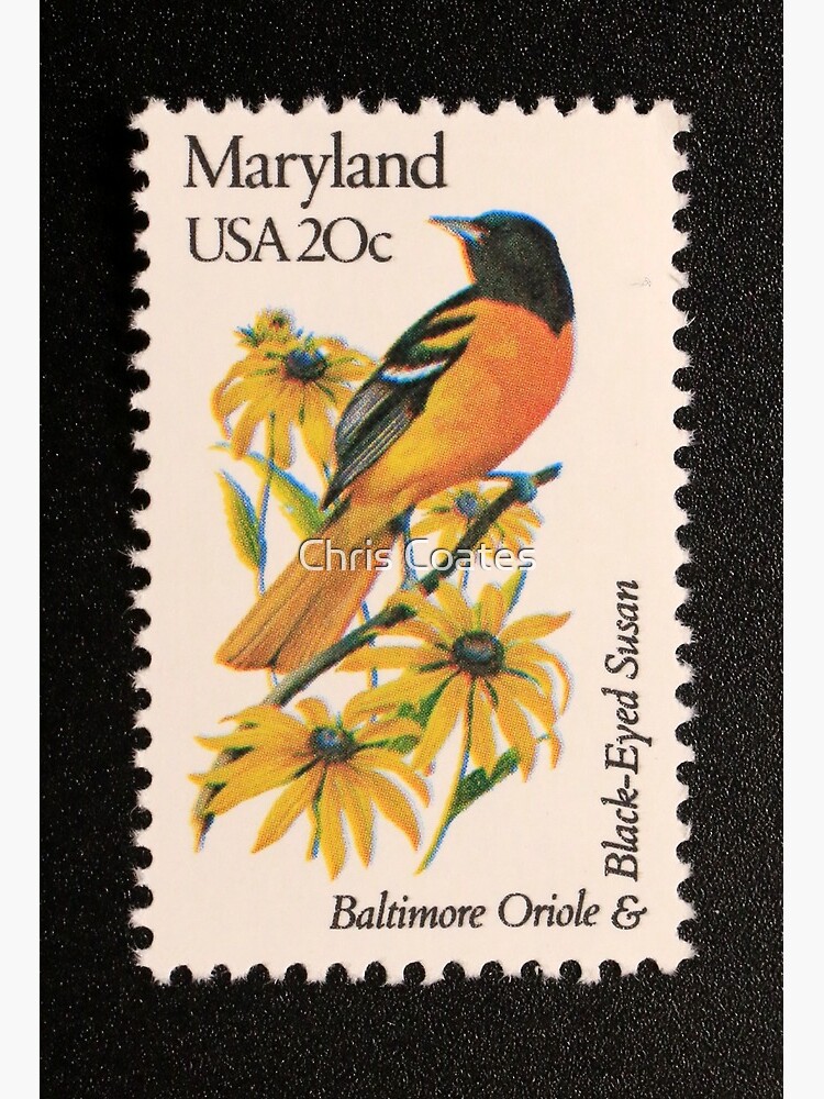 1982 20c Maryland State Bird Flower Postage Stamp