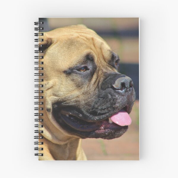 Item preview, Bull Mastiff Pup designed and sold by Gilda Axelrod.