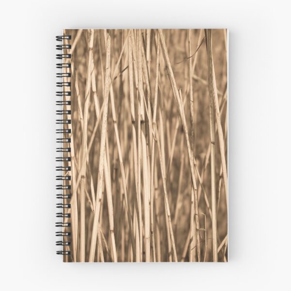 Item preview, Dry cattail straw designed and sold by Claraveritas.
