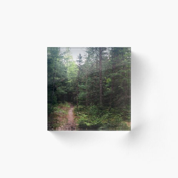 The North Woods Acrylic Block