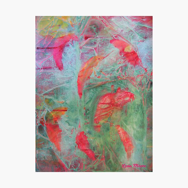 Salmon Journey Photographic Print