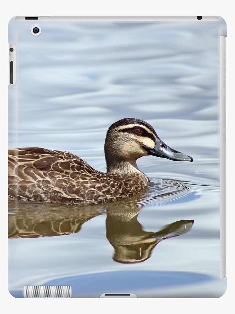 Pacific Black Duck Ipad Case Skin By Geopipics Redbubble