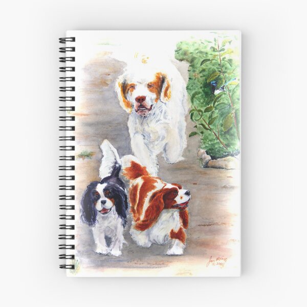 Item preview, Travellers designed and sold by JAN IRVING - ERINRAC.