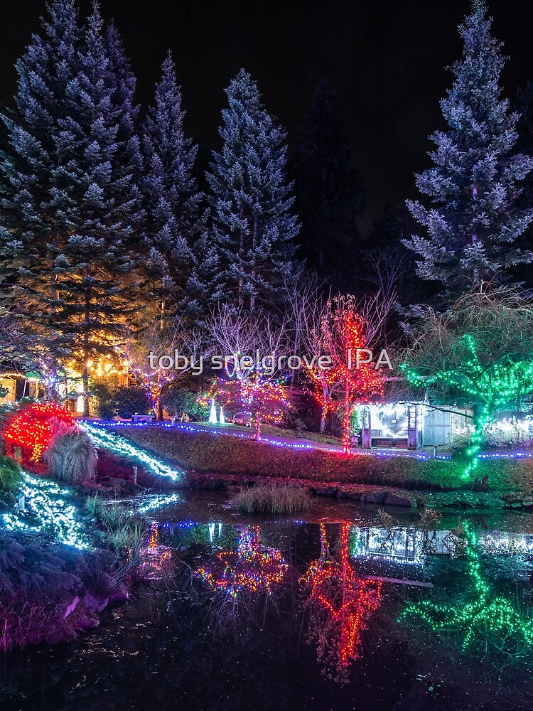 Christmas Lights at the Japanese Gardens by tobysnelgrove