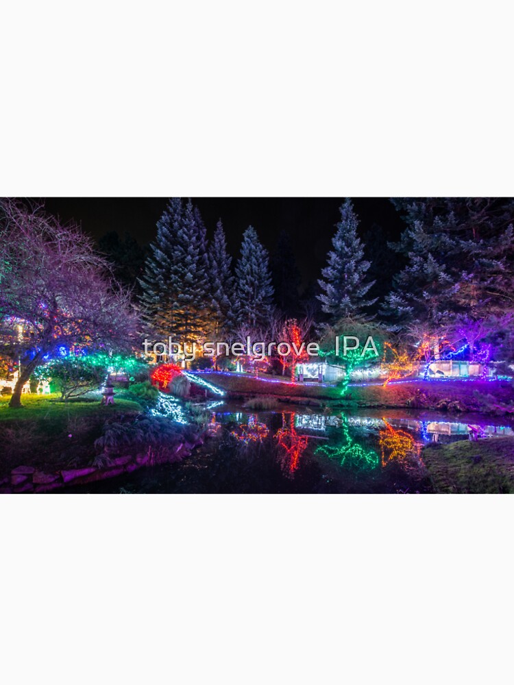 Christmas Lights at the Japanese Gardens by tobysnelgrove