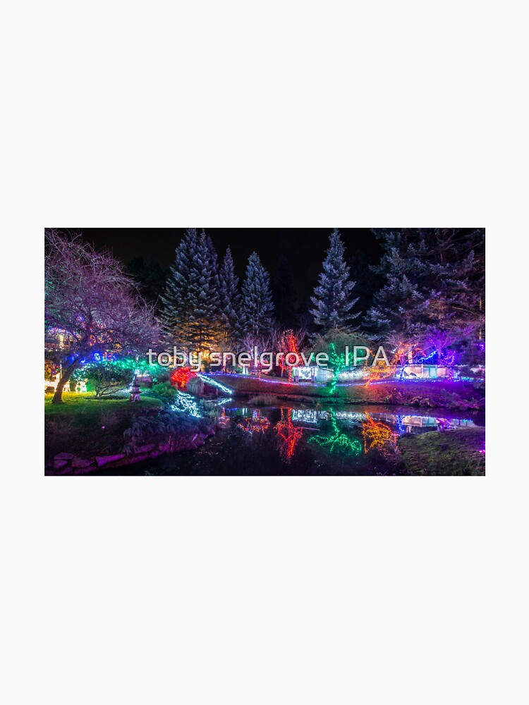Christmas Lights at Mayne Island's Japanese Gardens by tobysnelgrove