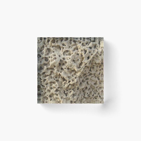#pattern, #abstract, #rough, #nature, #dry, #fungus, #cement, #textured Acrylic Block