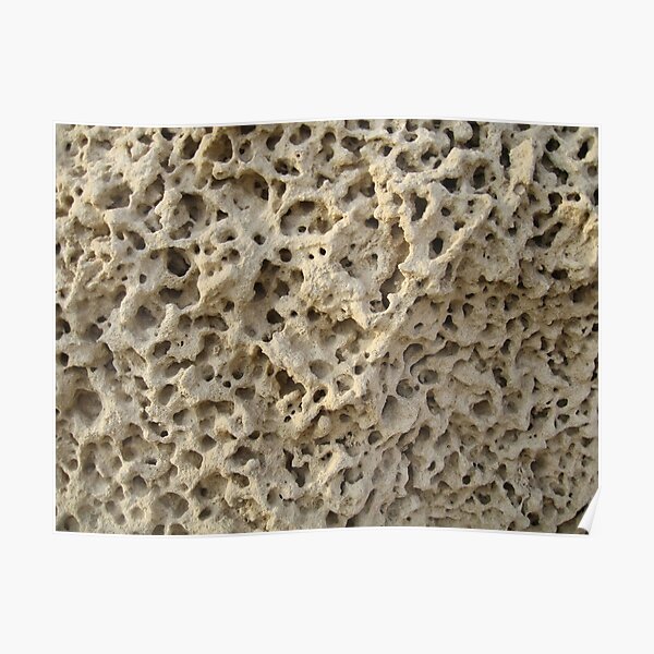 #pattern, #abstract, #rough, #nature, #dry, #fungus, #cement, #textured Poster