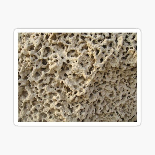 #pattern, #abstract, #rough, #nature, #dry, #fungus, #cement, #textured Sticker