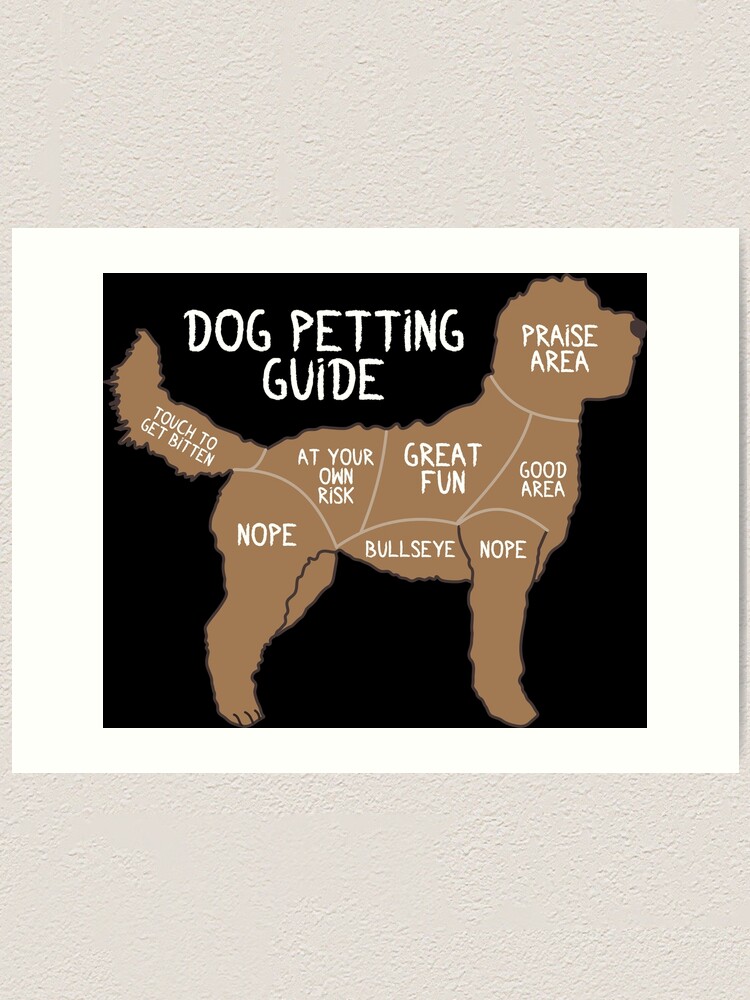 Dog 2024 petting guide