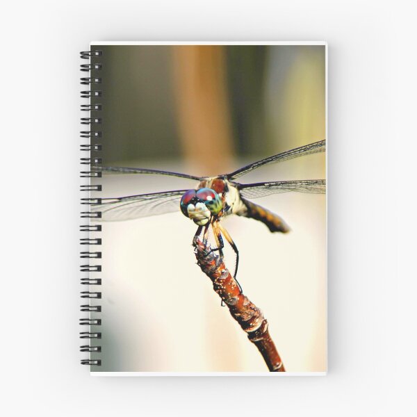 Item preview, Smile Pretty designed and sold by Dana Yoachum.