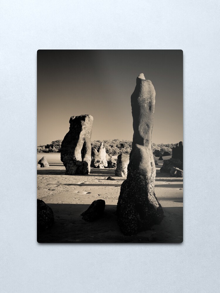 Alternate view of Spirit Warriors Metal Print