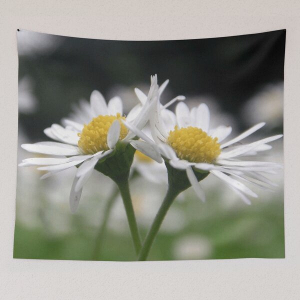 Item preview, "Dancing Daisies" ii designed and sold by Merice  Ewart Marshall.