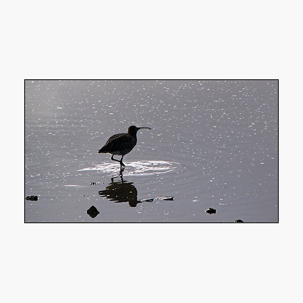 Item preview, "  Night falls on the Wetlands" designed and sold by mrcoradour.