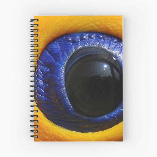 Item preview, Eye Of The Toucan. designed and sold by senninha.