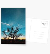 Idaho tree Postcards