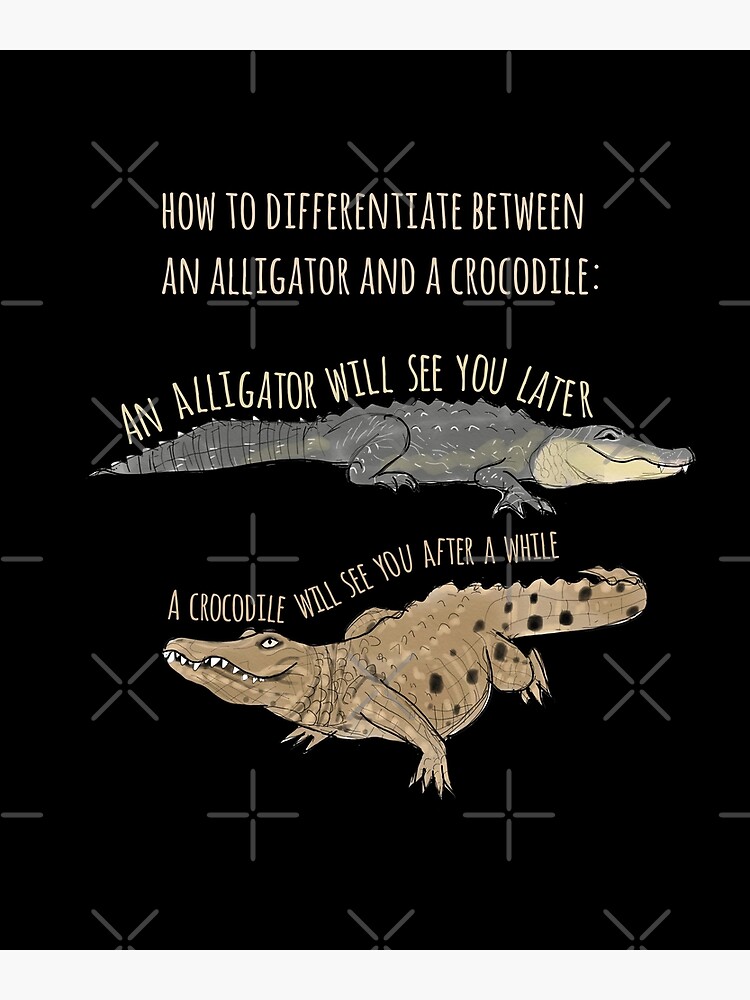 Funny Alligator and Crocodile Design Poster for Sale by Amy
