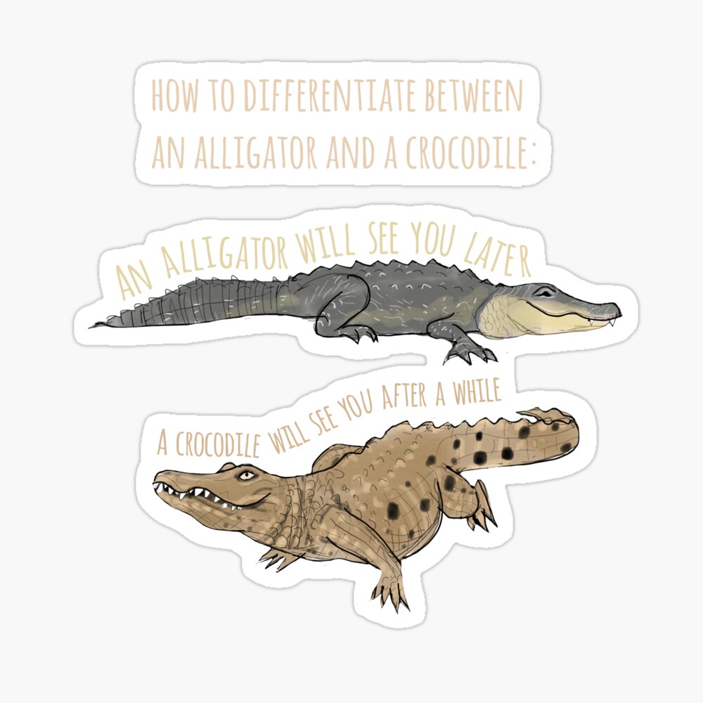 Funny Alligator And Crocodile Design Baby One Piece By Amymh Redbubble