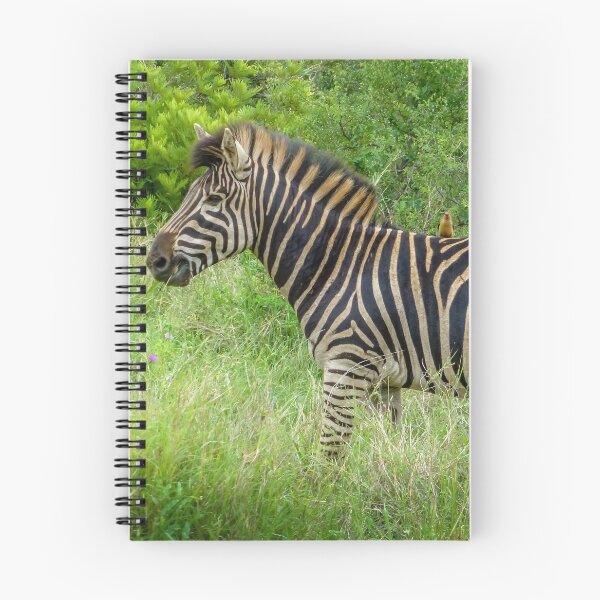 Item preview, Zebra & Friend designed and sold by Viv Thompson Photography .