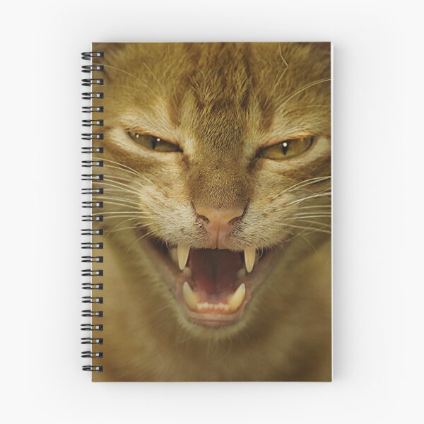 Item preview, Cat attack! - watch out! designed and sold by zero-g.