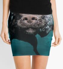 Minifalda Perro lindo bajo el agua! - perro nadador